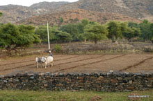 Labour - Todgarh - Inde